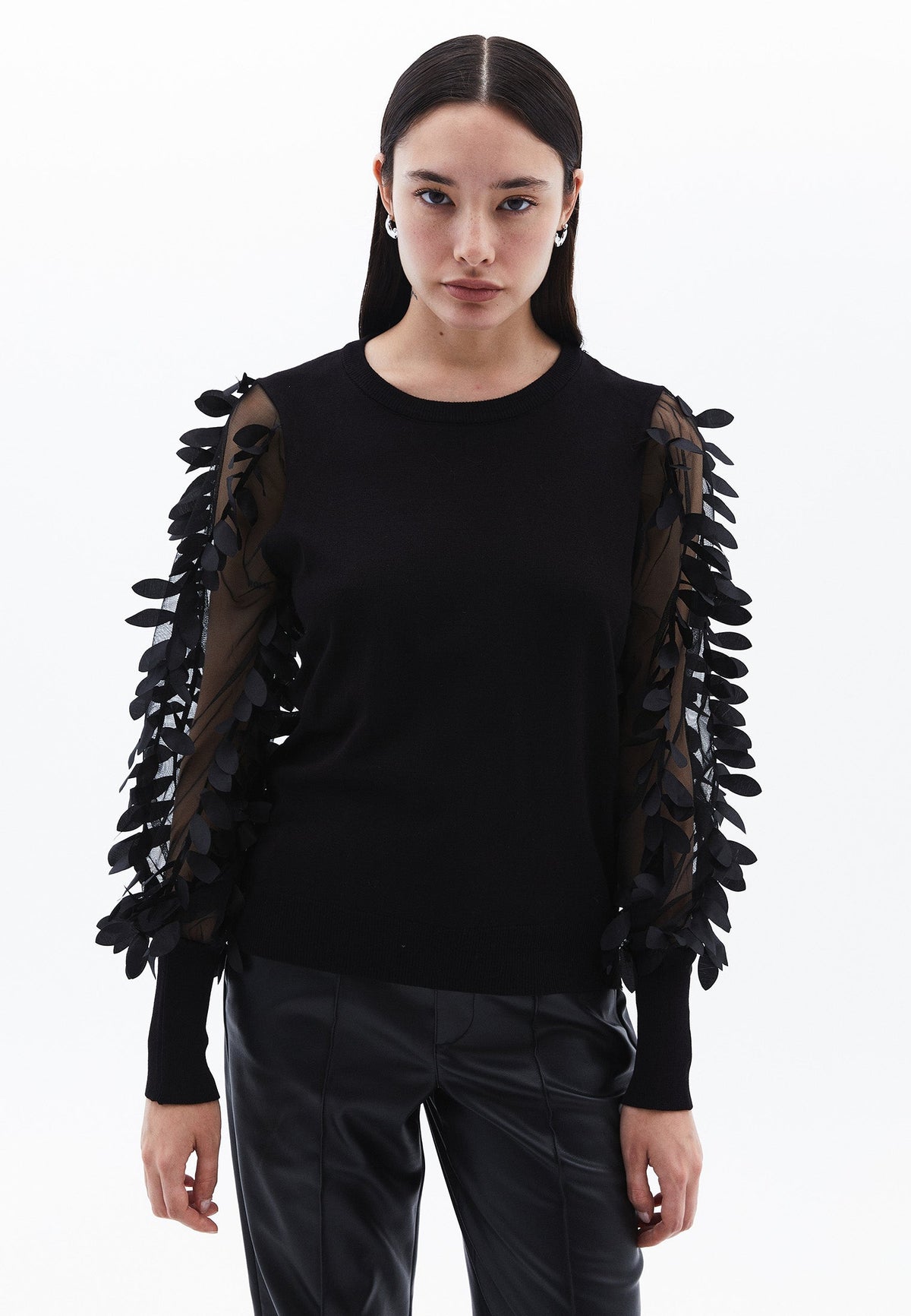 Transparent Crew Neck Standard Knit Sweater - BLACK