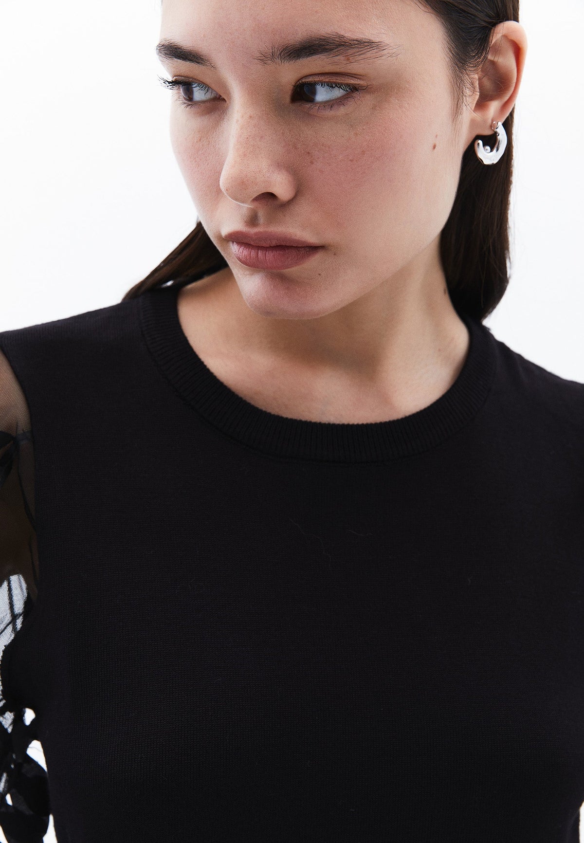 Transparent Crew Neck Standard Knit Sweater - BLACK