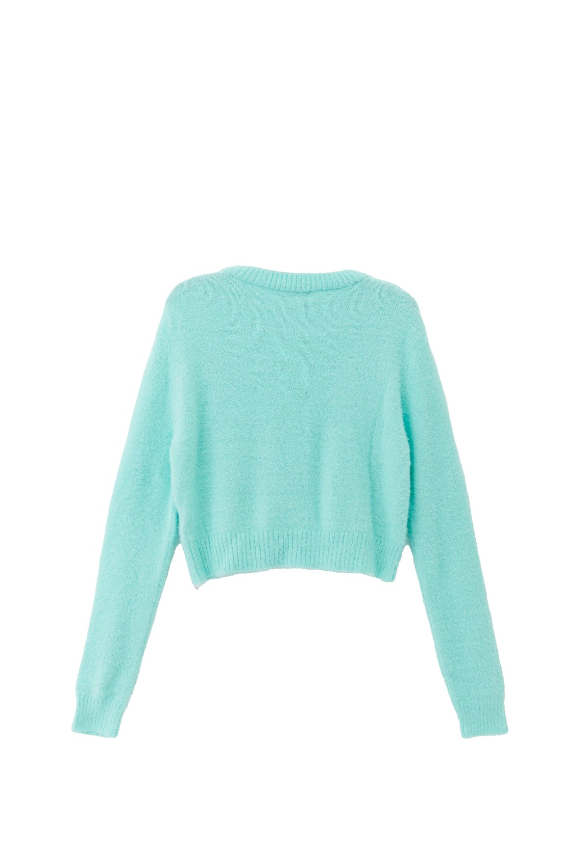 Crew Neck Beaded Raglan Sleeve Cropped Sweater - LIMPET SHELL