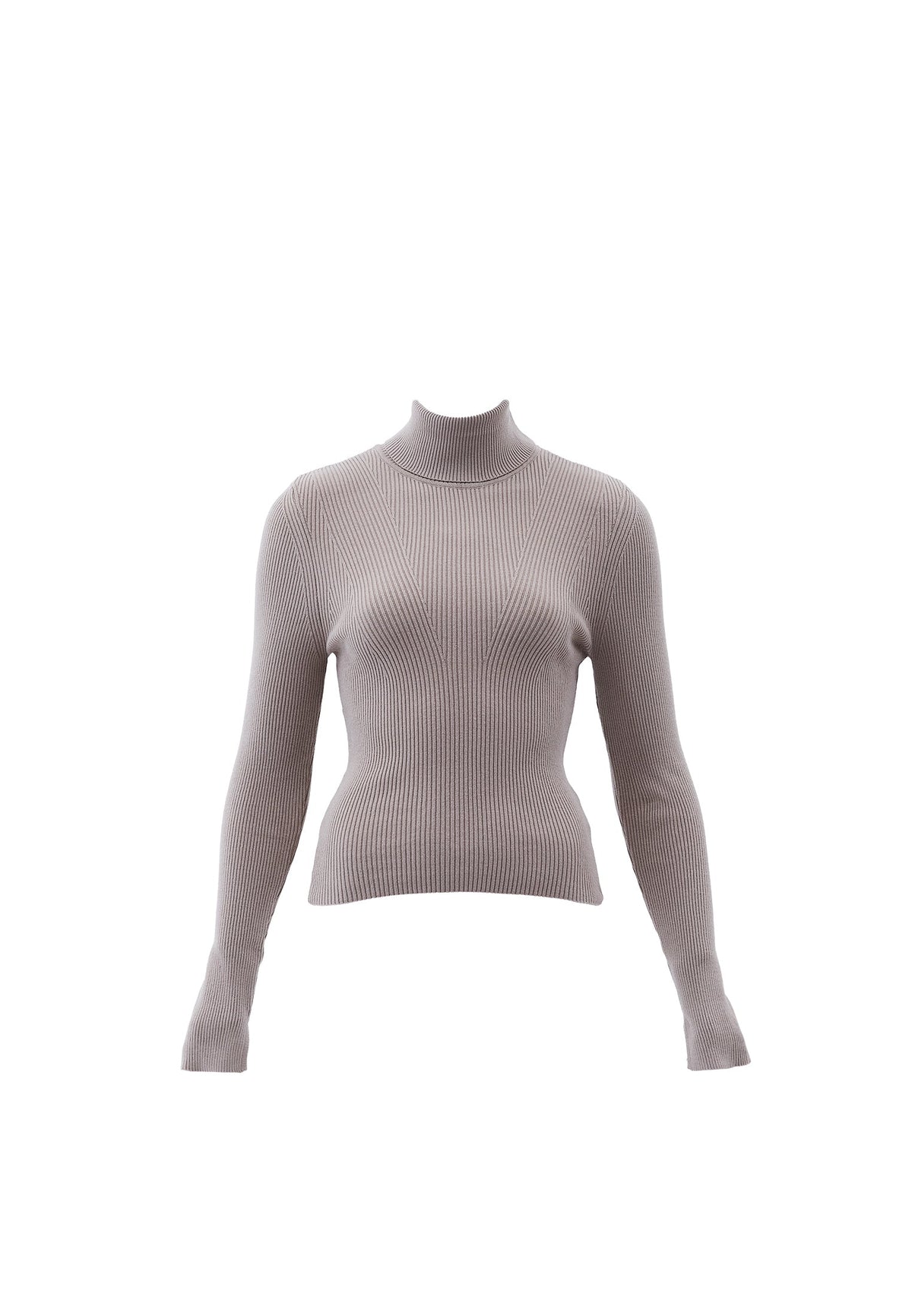 Ribbed Raglan Sleeve Turtleneck Sweater - SIMPLY TAUPE